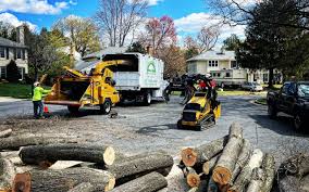 Best Tree Fertilization Services  in Houston, MO